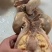 牛子肠，纯干货无水牛子肠牛子肠牛子肠牛子肠