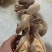 牛子肠，纯干货无水牛子肠牛子肠牛子肠牛子肠