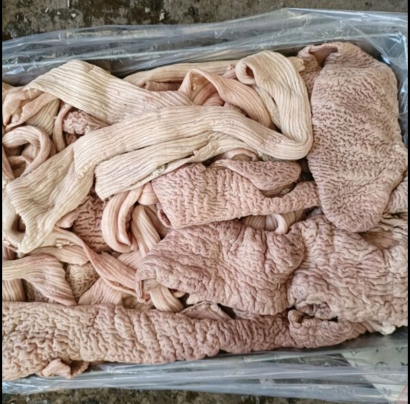 牛大肠牛大肠牛大肠牛大肠牛大肠牛大肠牛大肠