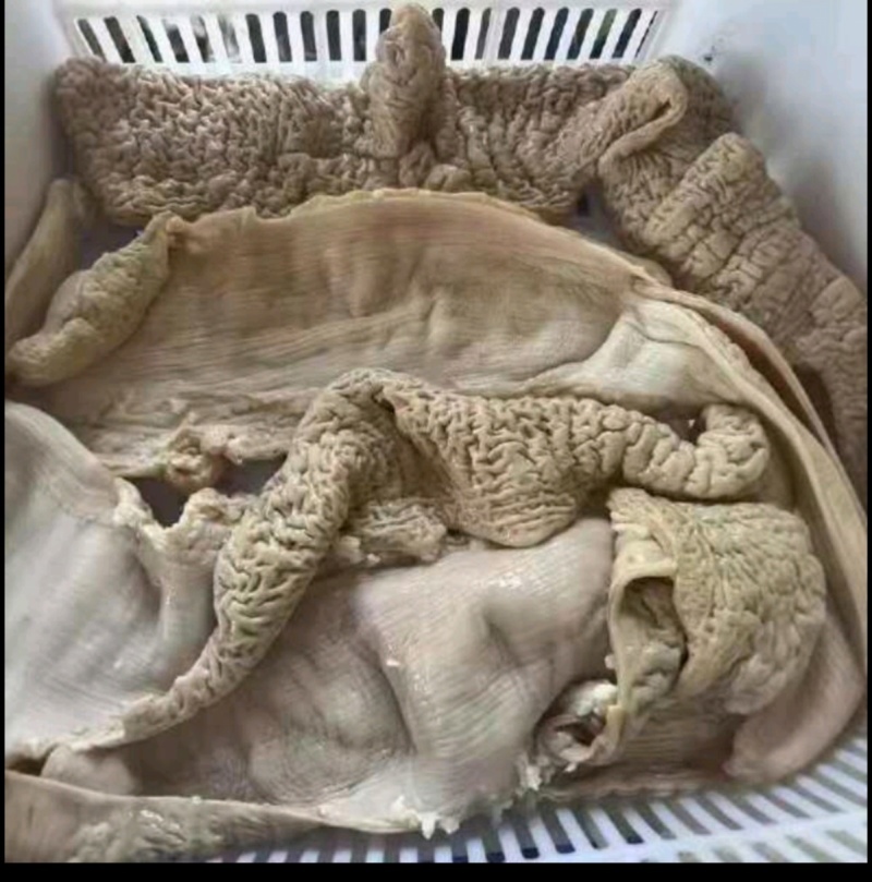 牛大肠牛大肠牛大肠牛大肠牛大肠牛大肠牛大肠