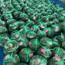 【推荐】现货批发精选江苏全母大闸蟹鲜活，满黄水产店饭店等