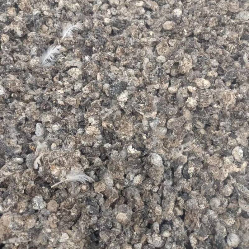 颗粒小鸡粪/发酵鸡粪/自然风干鸡粪/纯干无杂质/常年供应