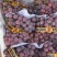 🍇红提葡萄大量有货下地看货说价现采现发欢迎咨询