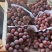 🍇红提葡萄大量有货下地看货说价现采现发欢迎咨询