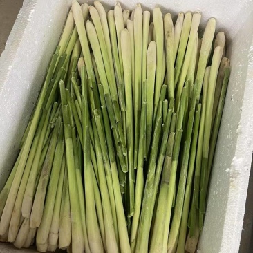柠檬香茅草