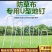 厂家直供U型钢钉防草布专用钉人工草坪专用钉