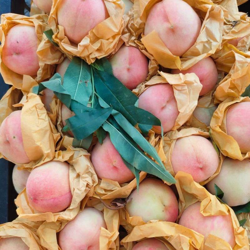 玉露水蜜桃正宗奉化水蜜桃香甜多汁口感好6月25号后开始供