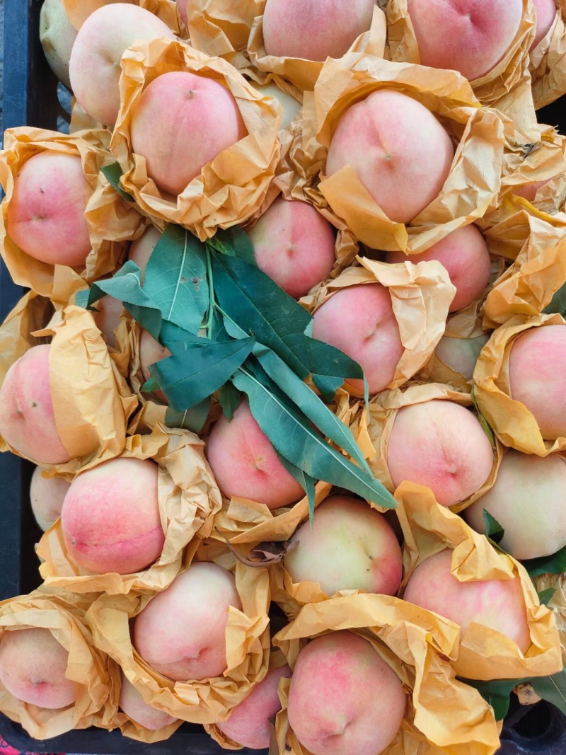 玉露水蜜桃正宗奉化水蜜桃香甜多汁口感好6月25号后开始供