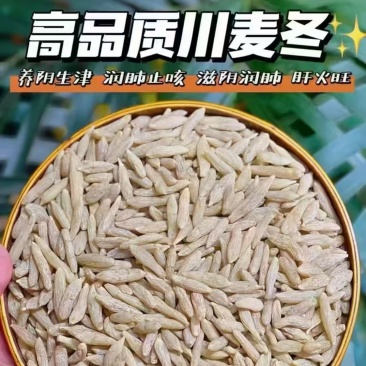 【每日推荐】四川绵阳精品麦冬产地直发品质保障可视频看货