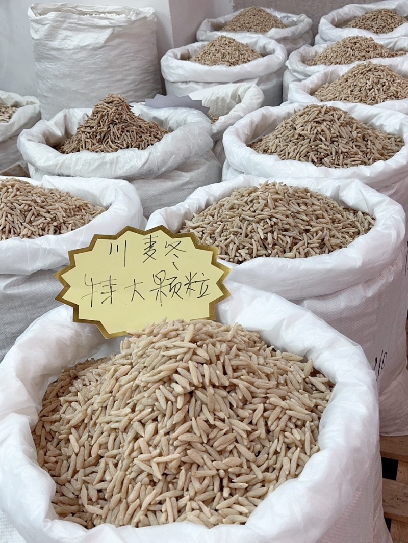 【每日推荐】四川绵阳精品麦冬产地直发品质保障可视频看货
