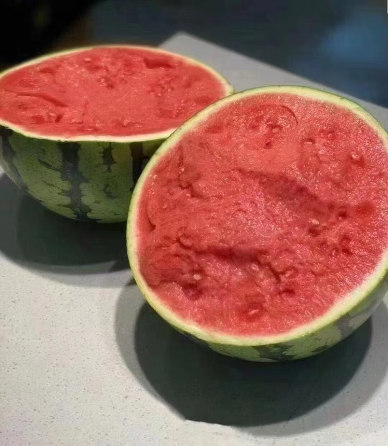 陕西精品美都西瓜大量上市实力代办保质保量欢迎咨询