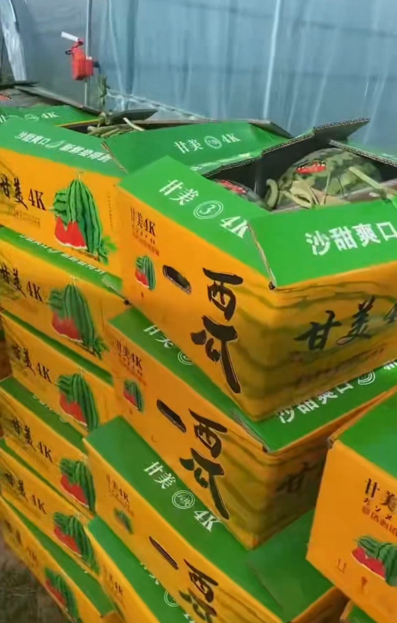 甘美4K西瓜大量上市诚信经营欢迎老板来电洽谈诚信
