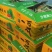 甘肃甘美4K西瓜大量供应产地批发诚信经营欢迎来电