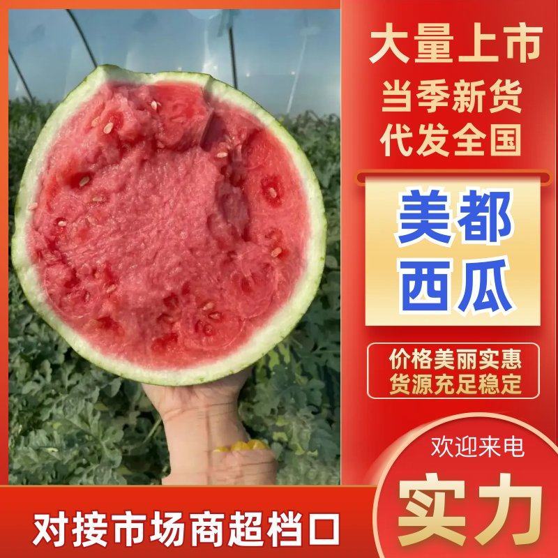 【美都西瓜】陕西西瓜，品种齐全，万亩基地货发全国欢迎电联