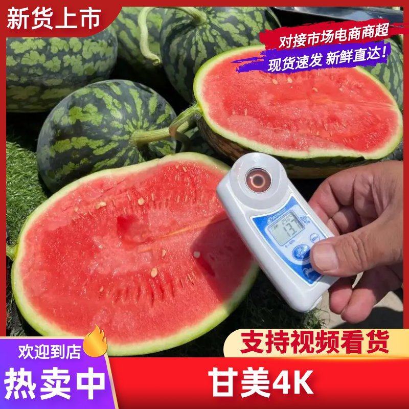 【甘美4K西瓜】产地现货，皮薄肉红，糖度高品质好货发全国