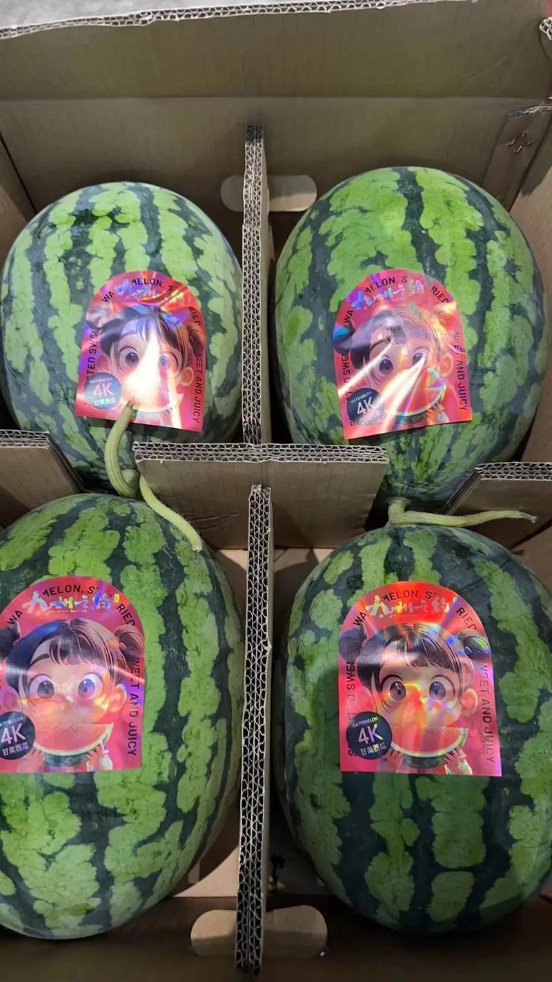 【甘美4K西瓜】产地现货，皮薄肉红，糖度高品质好货发全国