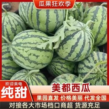 美都西瓜麒麟瓜产地看货论价保质保量欢迎订购