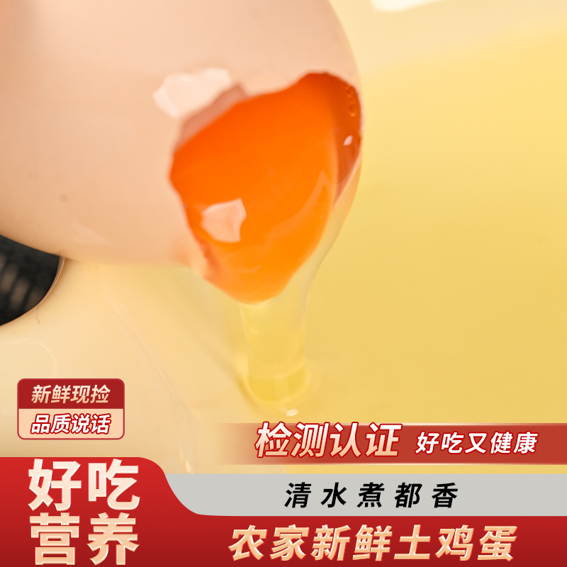 【一件代发】初生蛋土鸡蛋电商平台品质保证欢迎来电