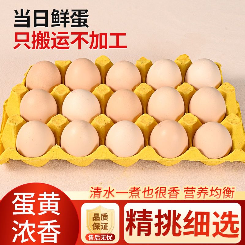 【一件代发】初生蛋土鸡蛋电商平台品质保证欢迎来电