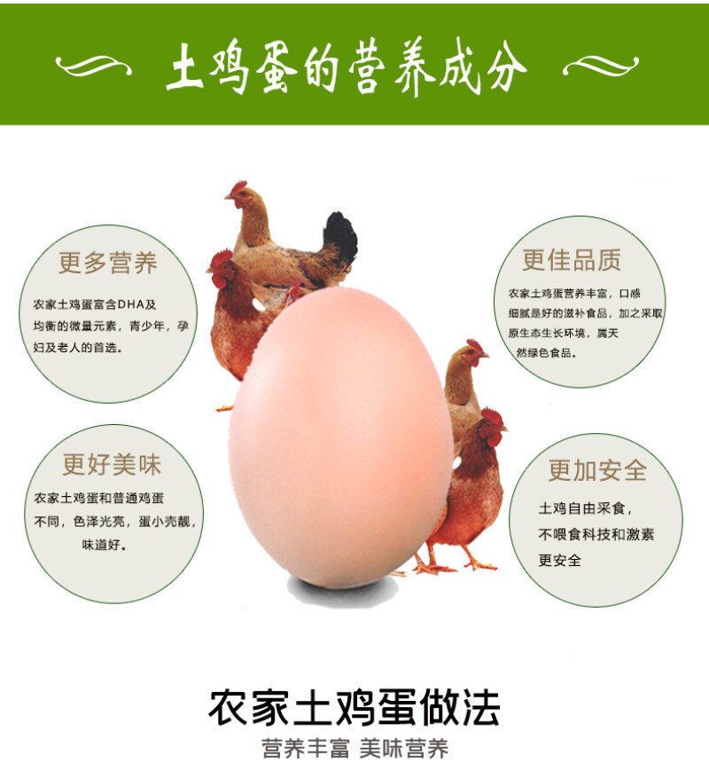 【一件代发】初生蛋土鸡蛋电商平台品质保证欢迎来电