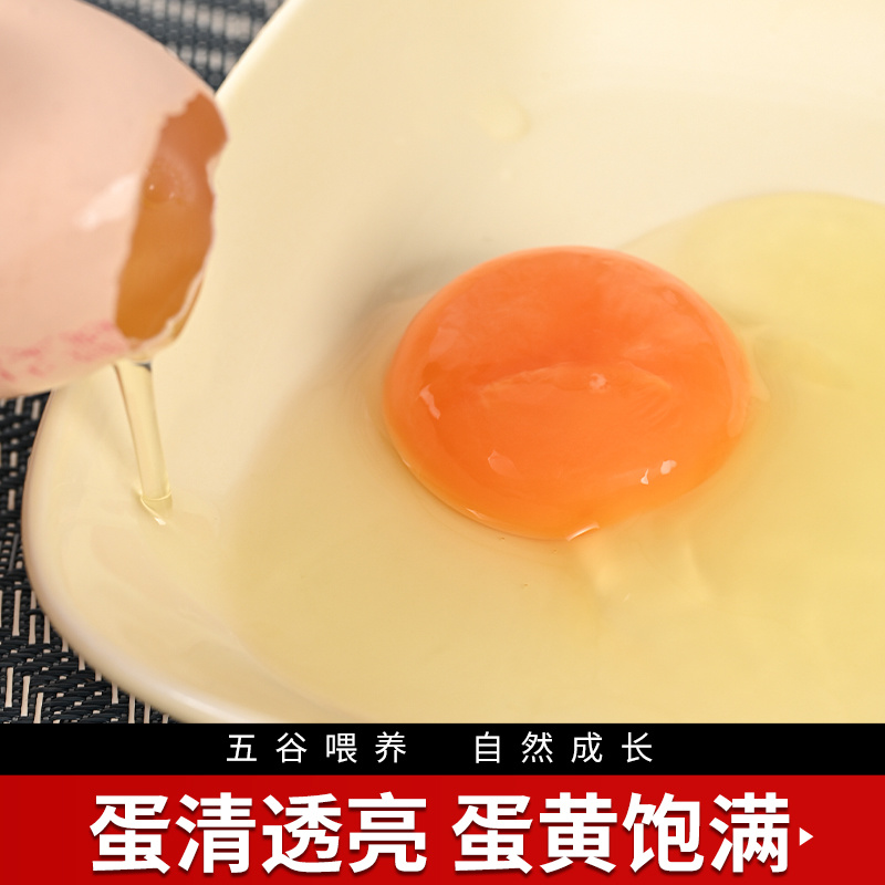 【一件代发】初生蛋土鸡蛋电商平台品质保证欢迎来电