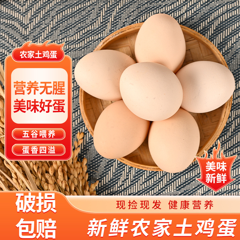 【一件代发】初生蛋土鸡蛋电商平台品质保证欢迎来电
