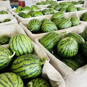 2K西瓜大量供应品质保证价格实惠欢迎老板来电洽谈