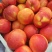 红油桃安徽沙地黄心油桃中油4/5油桃商超电商边贸