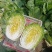 春季黄心白菜