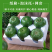 绿宝石甜瓜，脆甜可口，基地直供，一手货源，大量供应