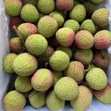 广东荔枝桂味妃子笑白糖罂白蜡黑叶产地直发货源稳定供应
