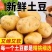 黄心土豆沃土实验一号马铃薯产地一手货源价格美丽