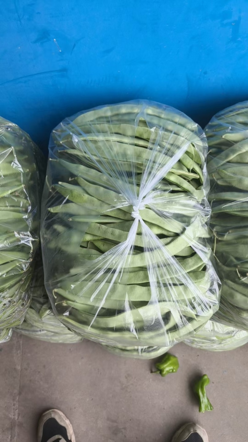 优选云豆品质优良支持视频看价格可议