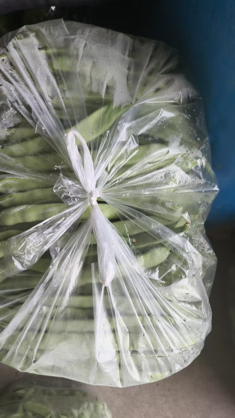 优选云豆品质优良支持视频看价格可议