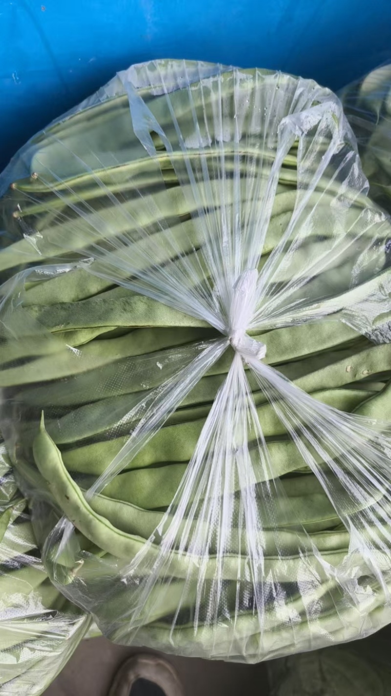 优选云豆品质优良支持视频看价格可议