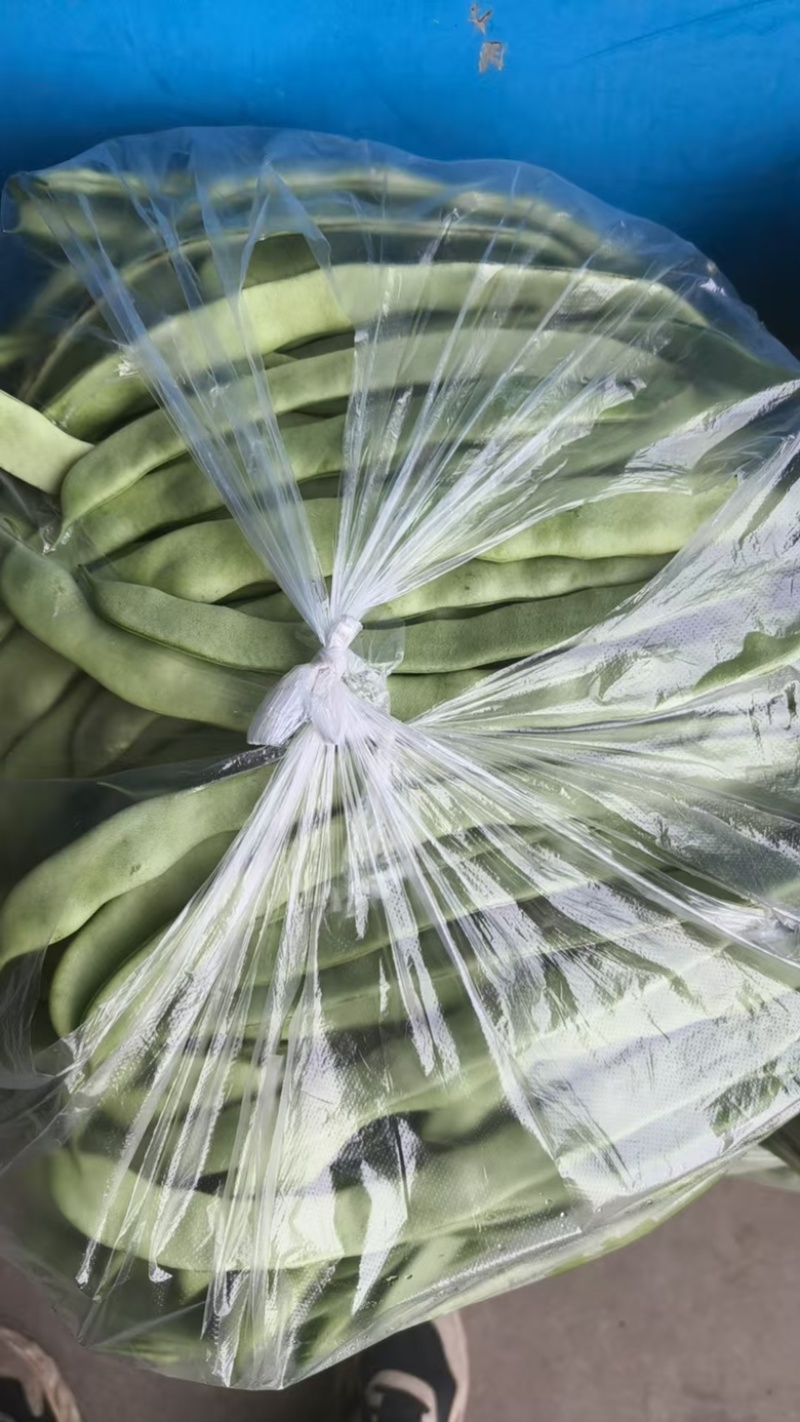 优选云豆品质优良支持视频看价格可议