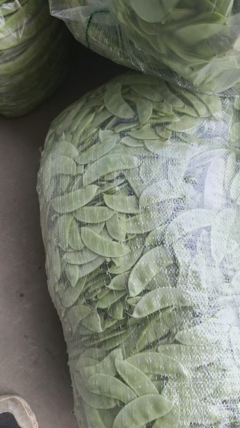 茶豆扁豆一手货源诚信经营对接各大商超欢迎来电