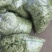 茶豆扁豆一手货源诚信经营对接各大商超欢迎来电