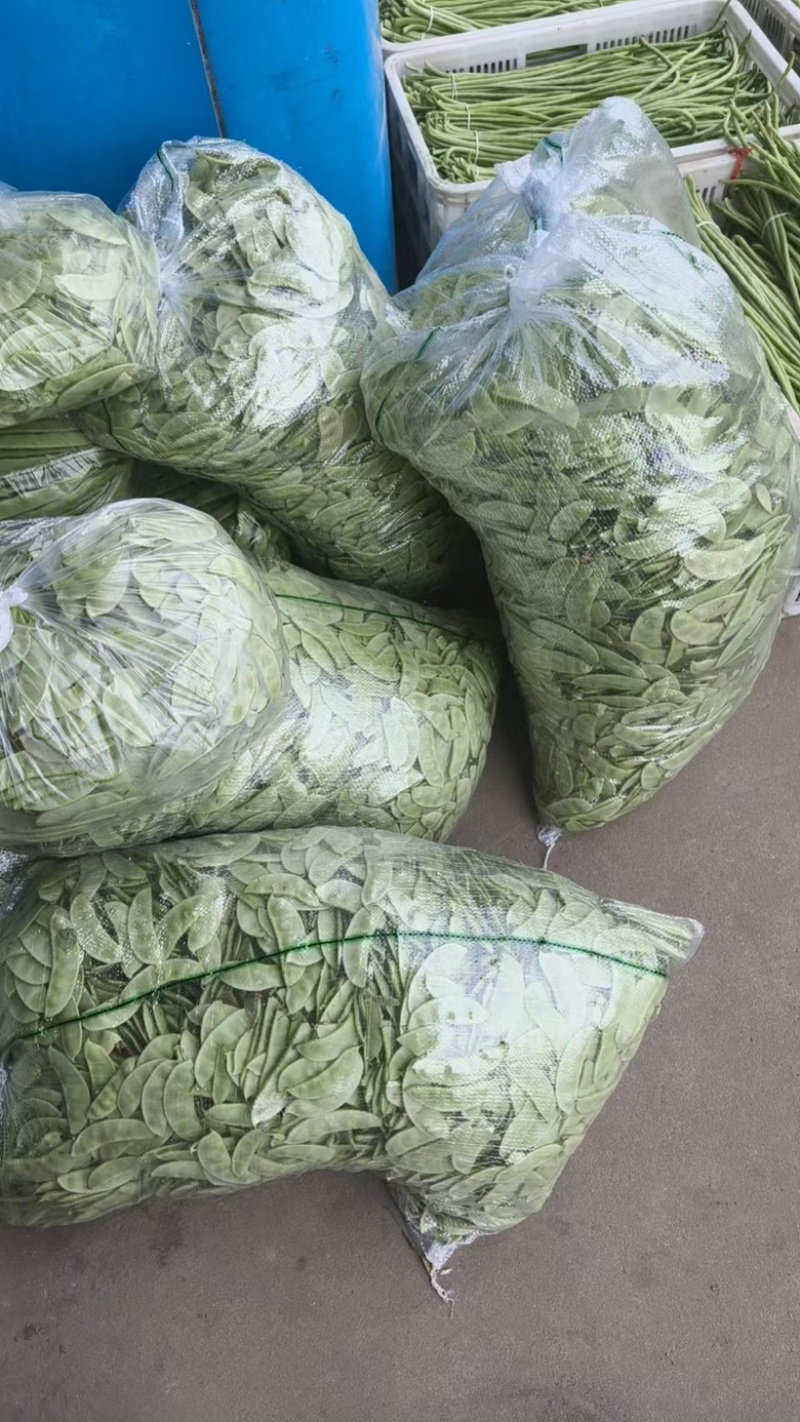 茶豆扁豆一手货源诚信经营对接各大商超欢迎来电