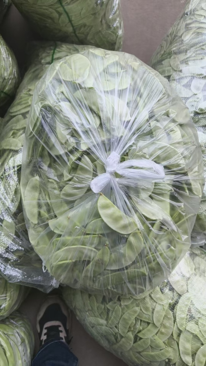 茶豆扁豆一手货源诚信经营对接各大商超欢迎来电