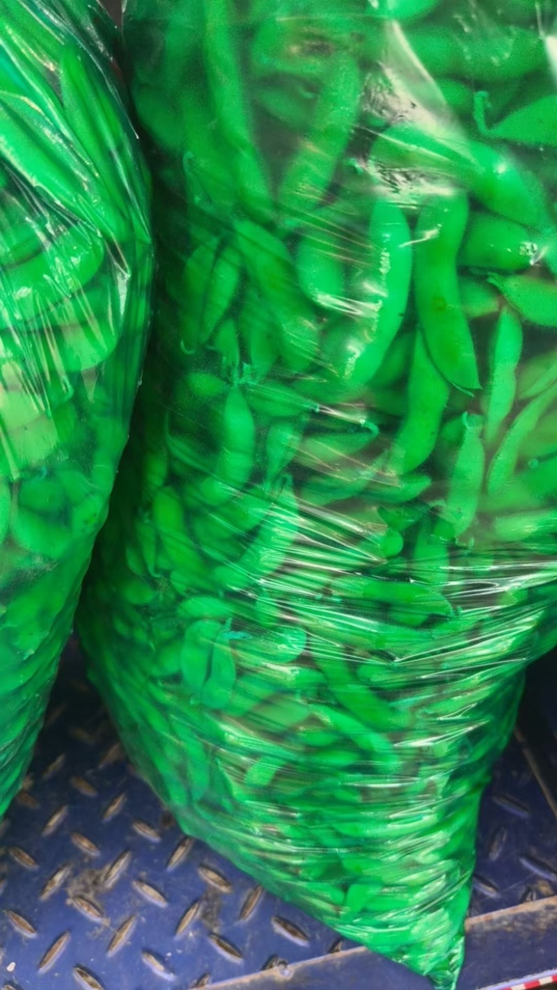 毛豆大量上市基地直发品质保证诚信合作