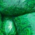 毛豆大量上市基地直发品质保证诚信合作
