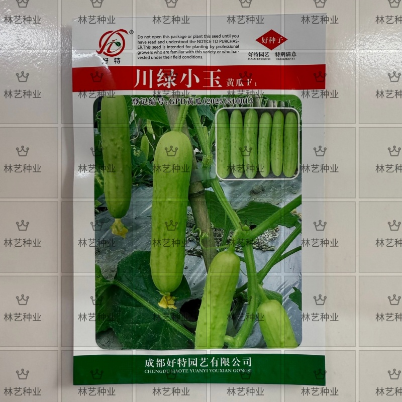 川绿小玉种子可以做酸黄瓜吃高产抗病耐热耐寒春秋播四季播蔬