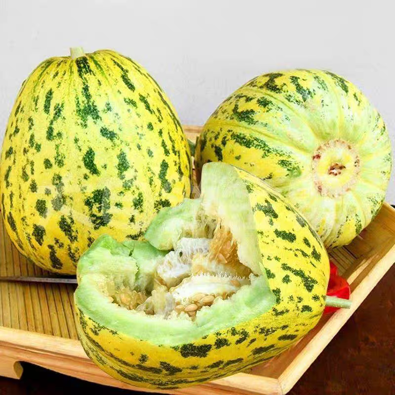 花蕾甜瓜，八里飘香瓜，基地直供，一手货源，保质保量