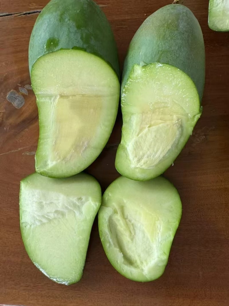 云南西双版纳大青芒果