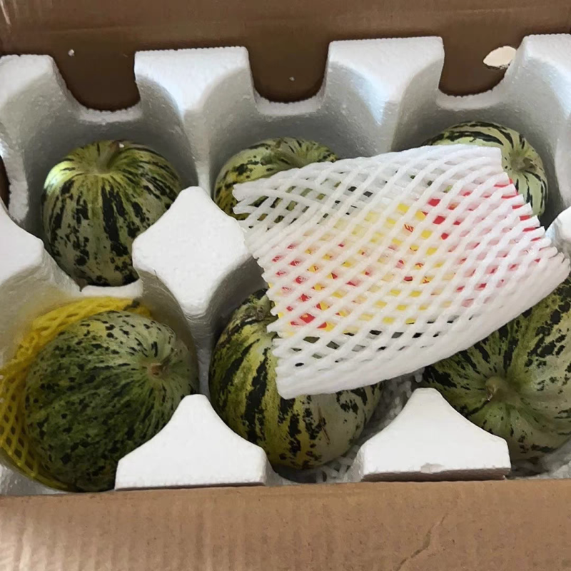 湖北甜瓜花蕾甜瓜，产地一手货源，现摘现发，量大从优