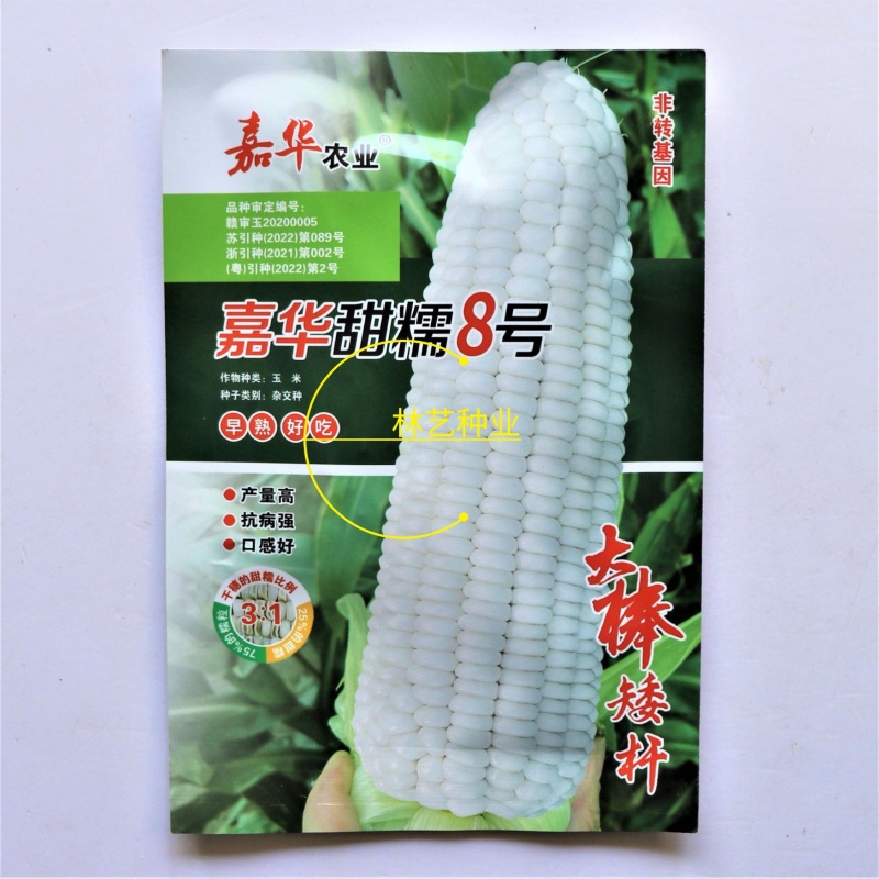 嘉华甜糯8号白甜糯玉米种子特大棒口感好皮薄无渣南北方春夏
