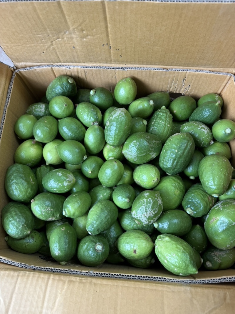 香水柠檬二级果