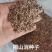 隔山消种子