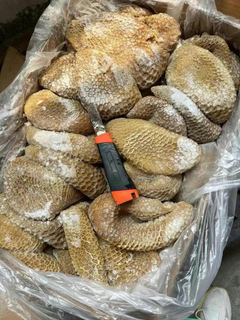 02金钱肚